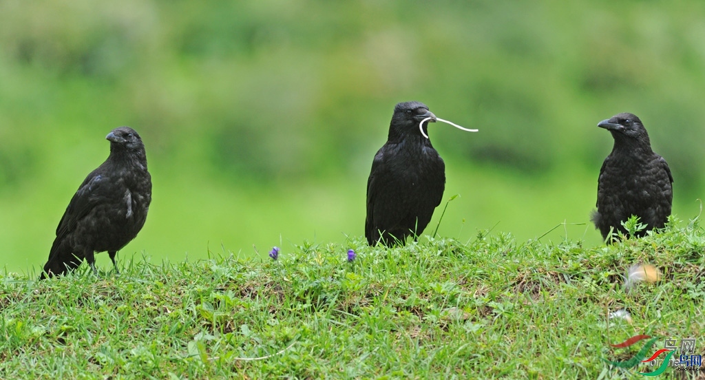 ����֮�� ��ʦ�����ڸ���ʡ���ϲ���������µ����.jpg