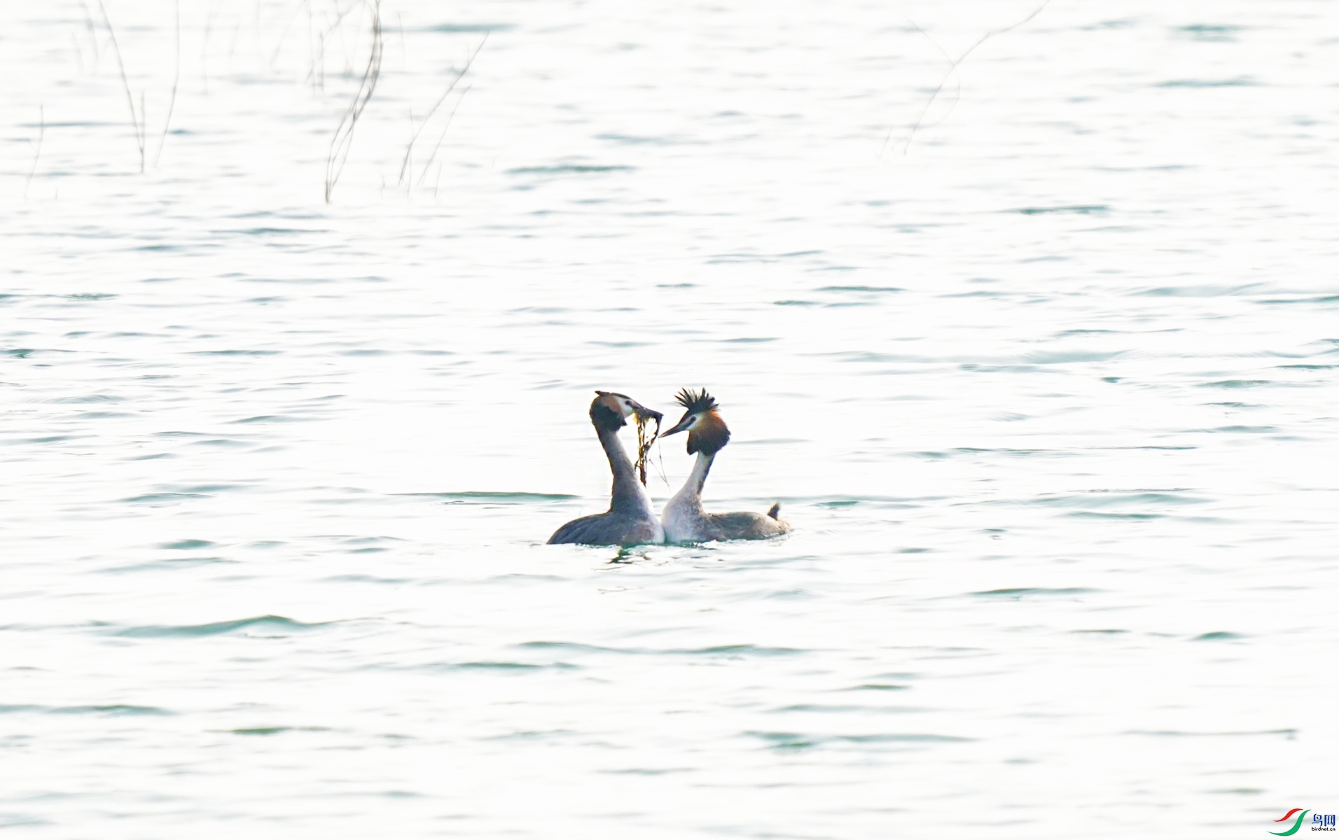 1 DSC07493_���� �� �� ��.jpg