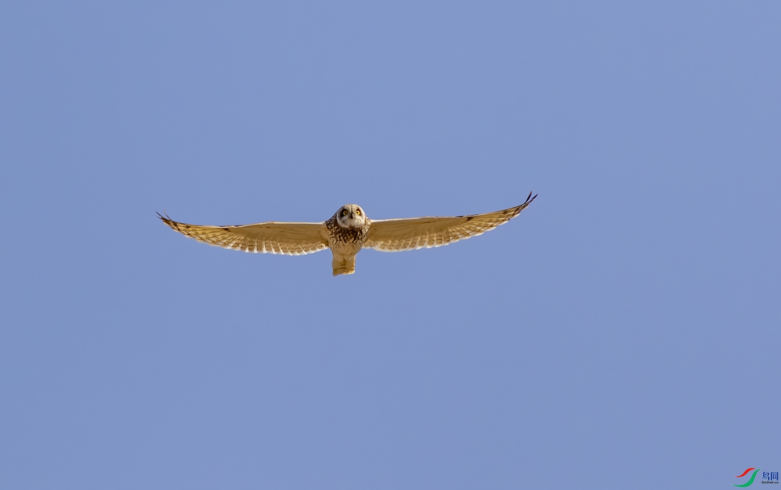 9V8A7419_1.jpg