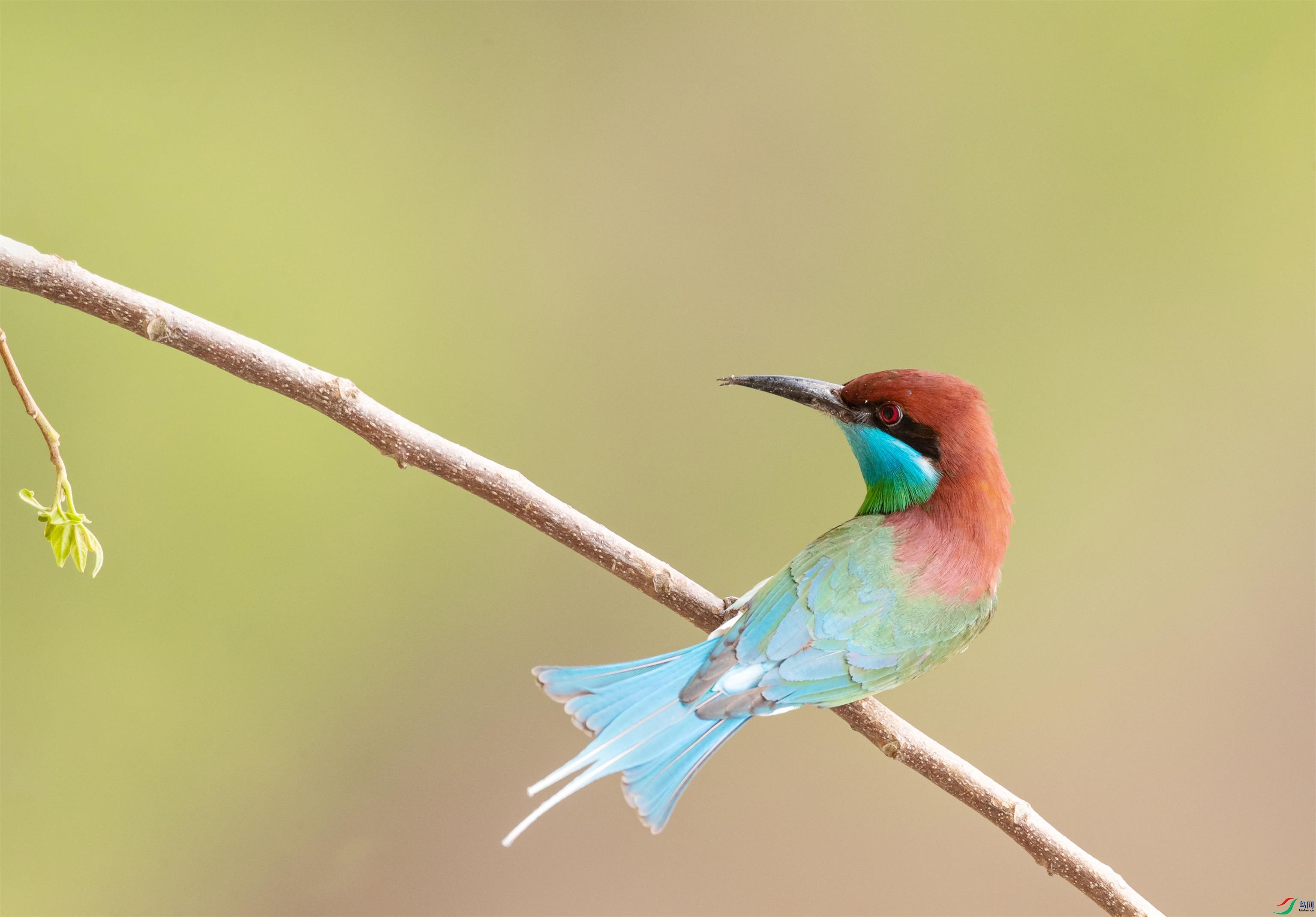 AF_00291.jpg