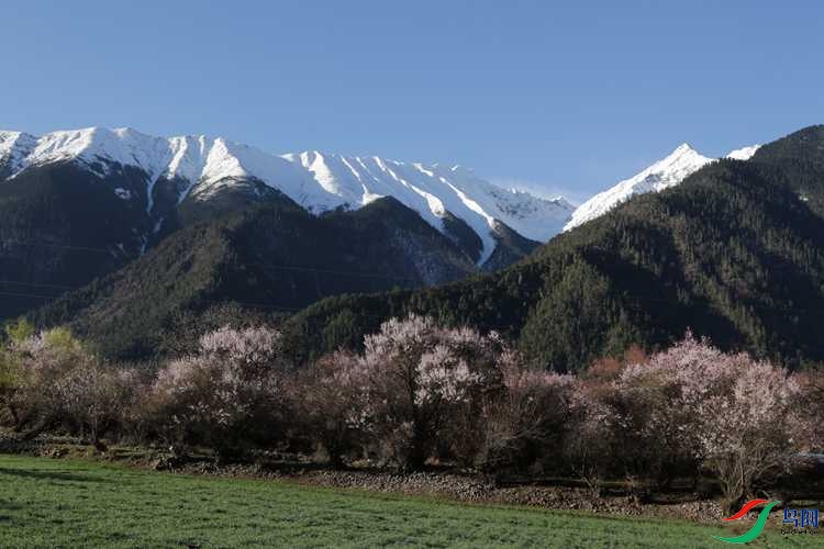 0S2A1978.JPG