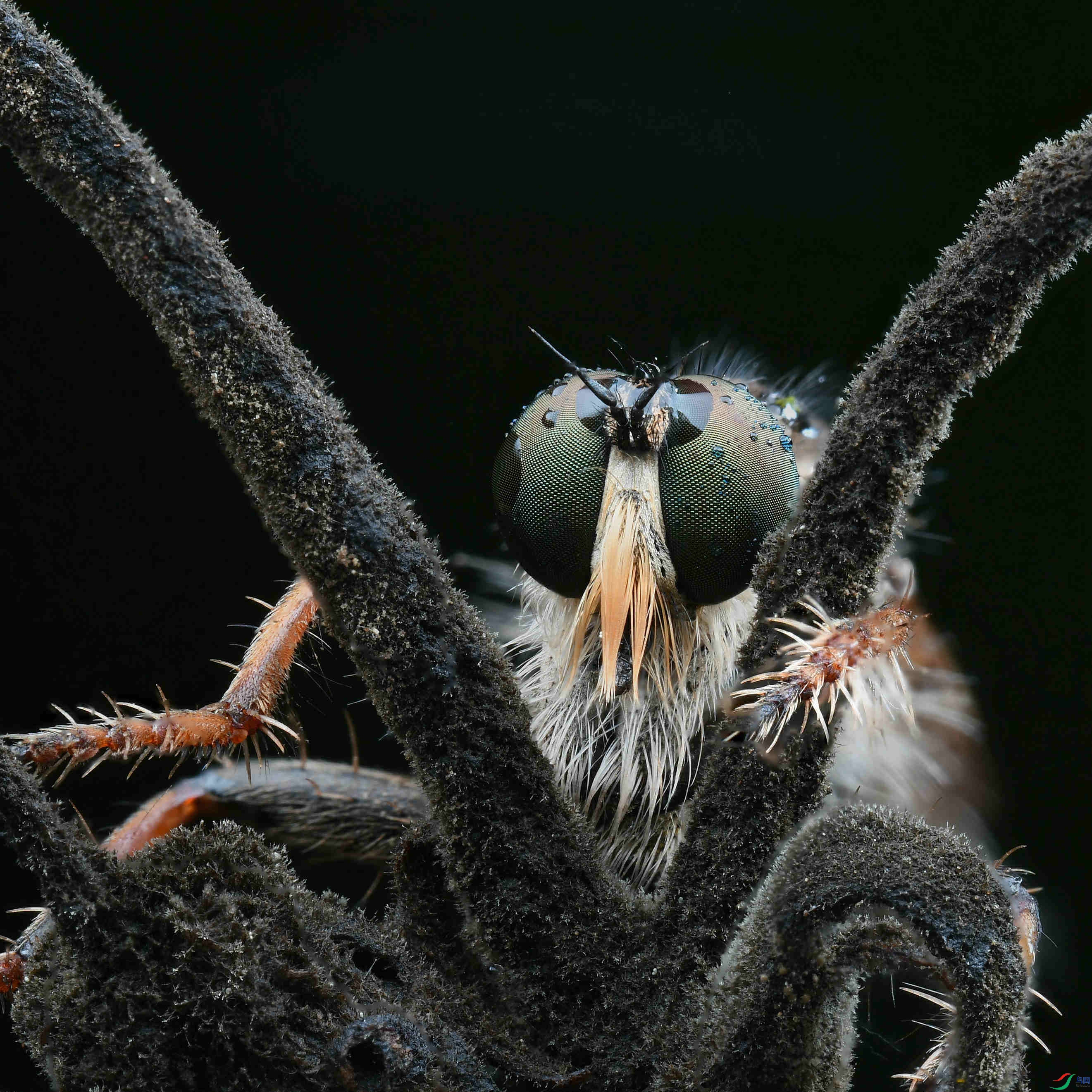 2021-03-22 15-29-58 (B,Radius8,Smoothing4)0203_����.jpg