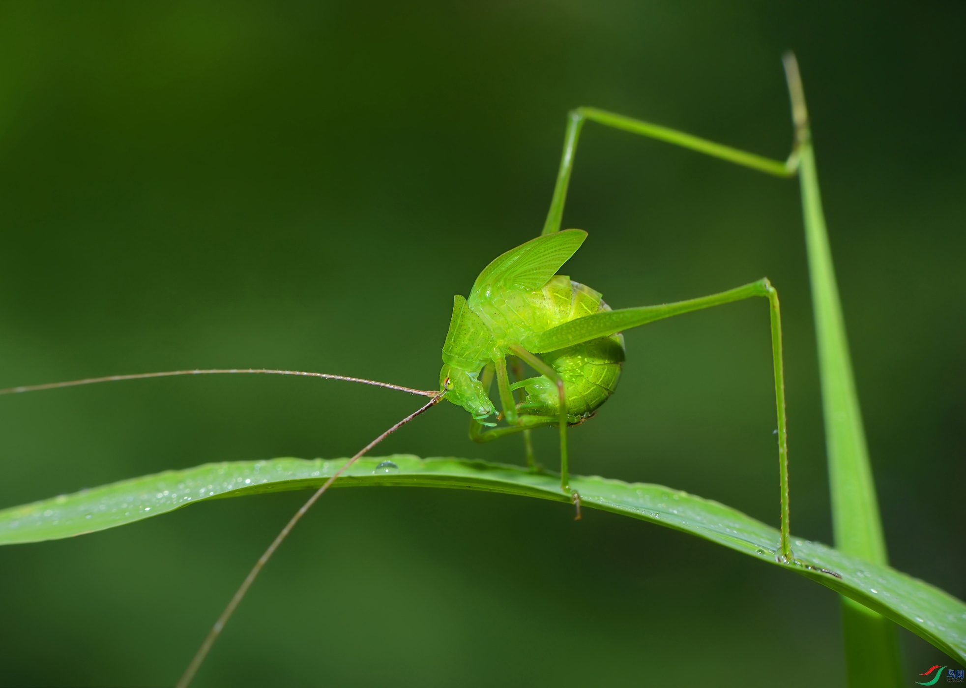 DSC_9781.jpg
