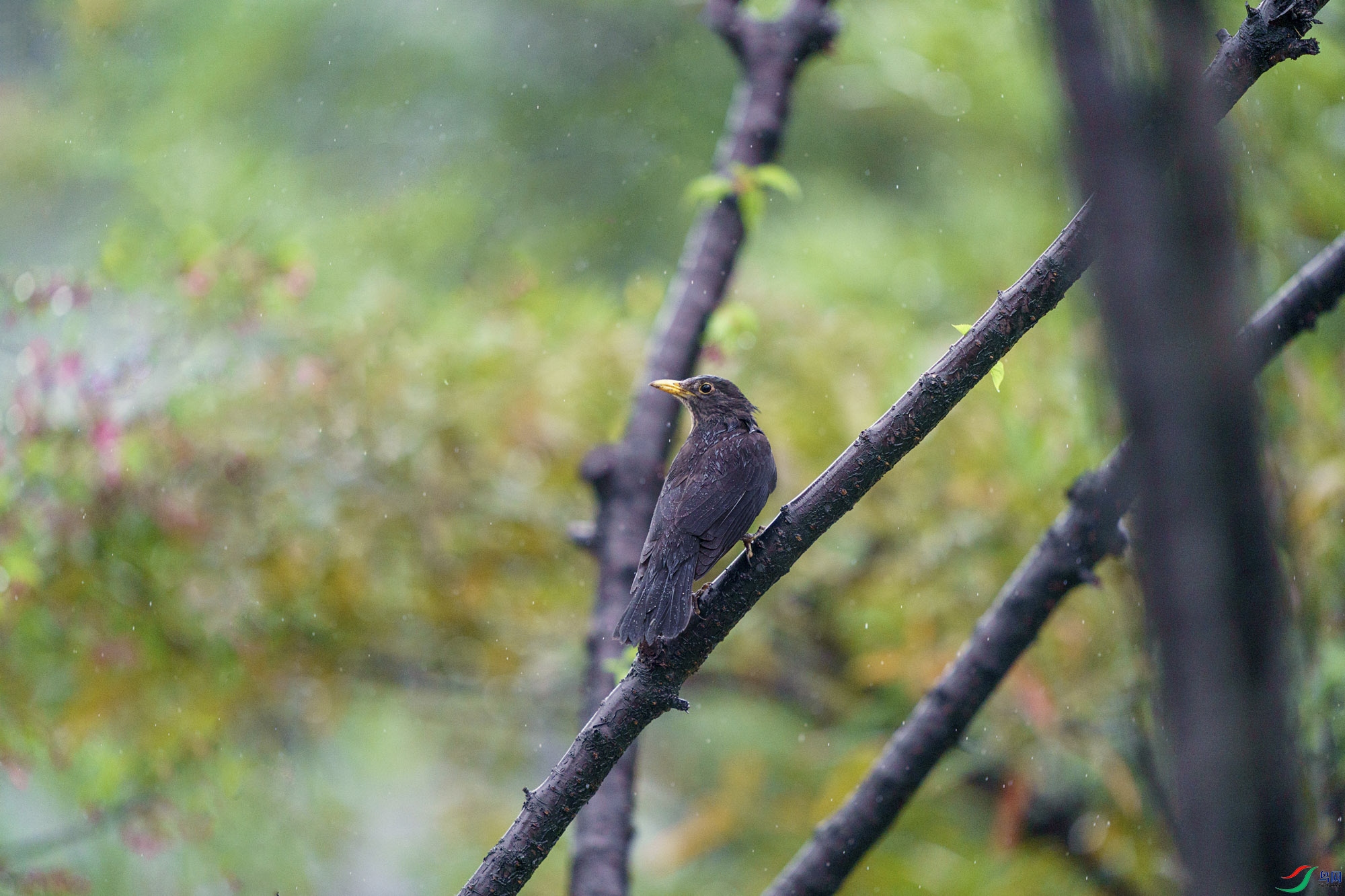 DSC02803.JPG
