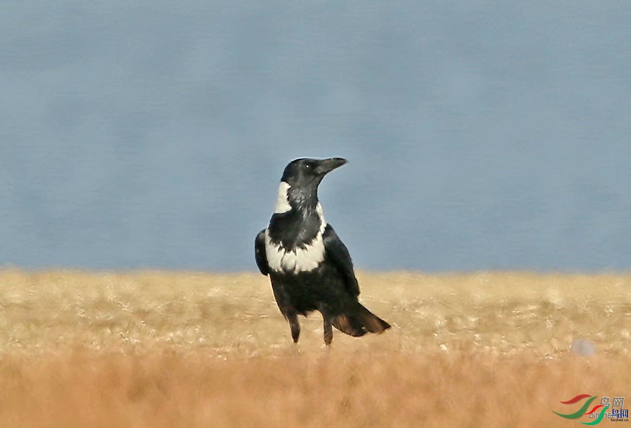 0529  ��ʦ�����ڰ���ʡ�����ж�����.jpg