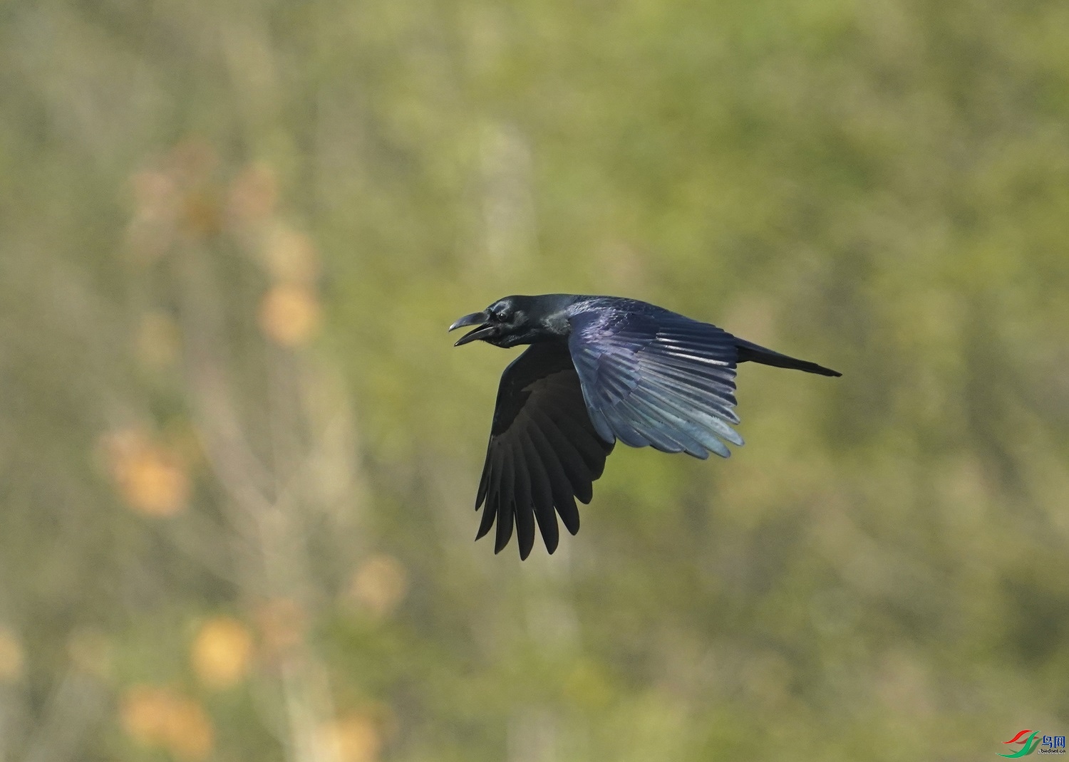 ������  ��ʦ����������ʡ����������0.jpg