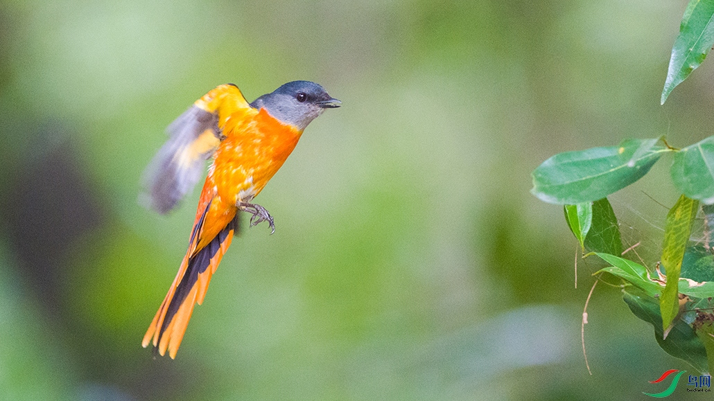 ��DSC_0351.jpg