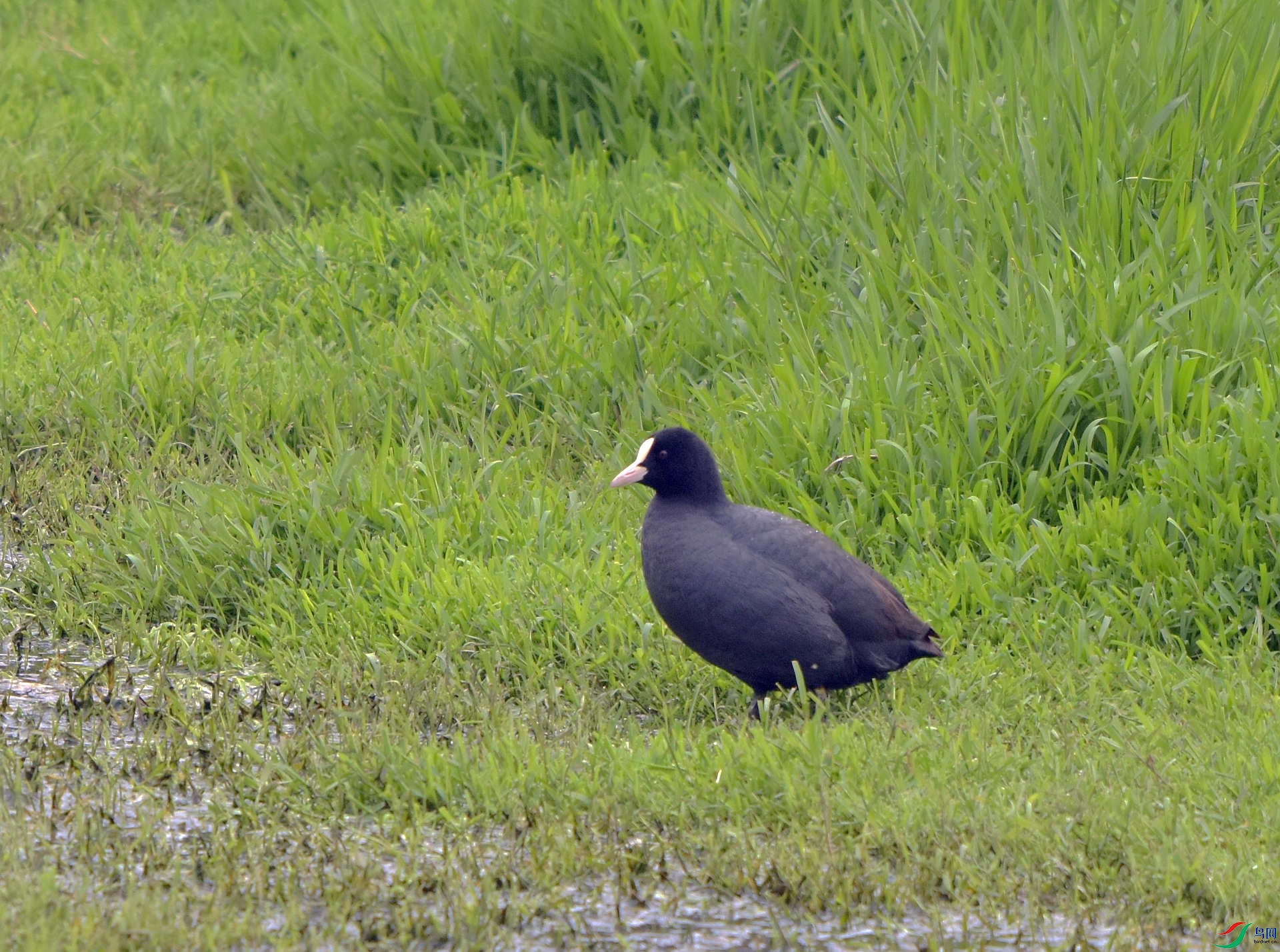 D72_1255.jpg