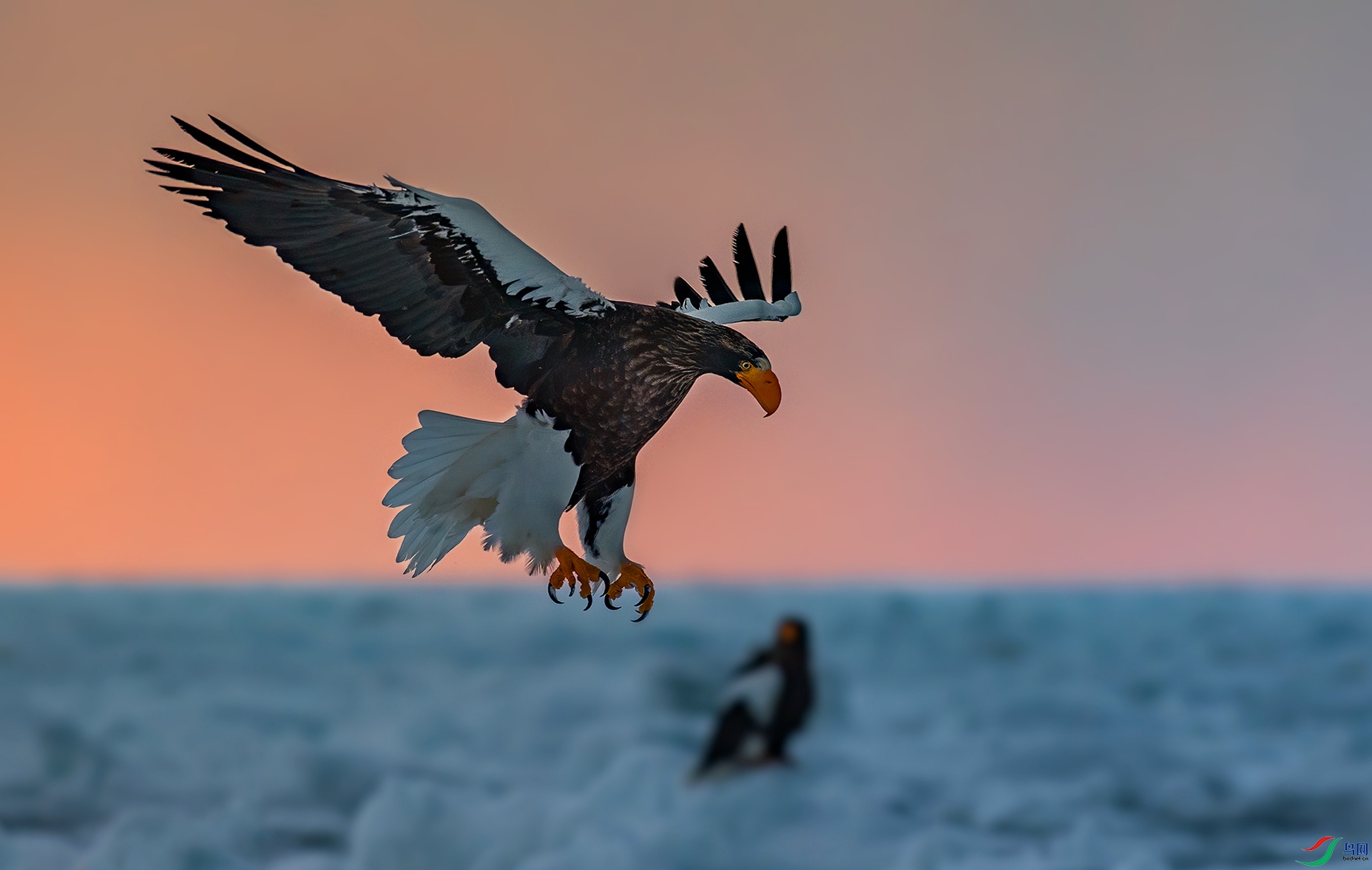 DSC_7267.jpg