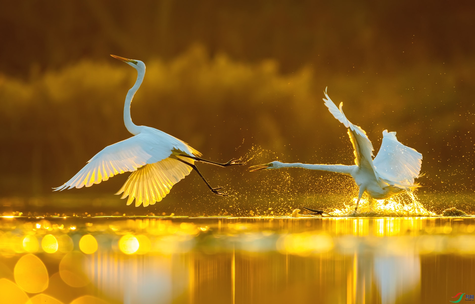 DSC_5811_2-2 ����.jpg