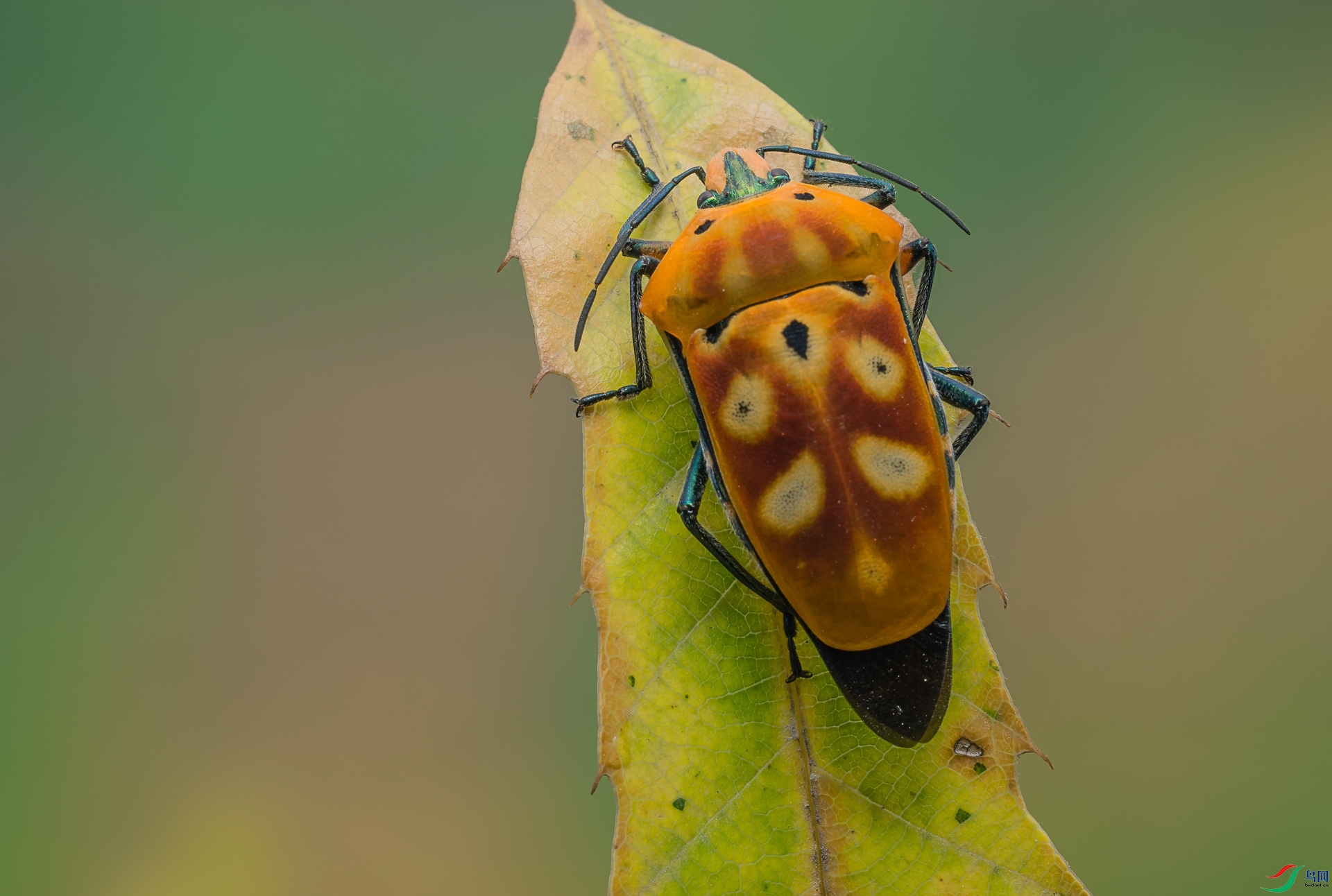 δ����-09422.jpg