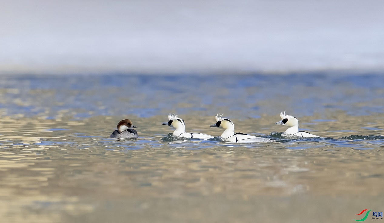 ����ʩ��