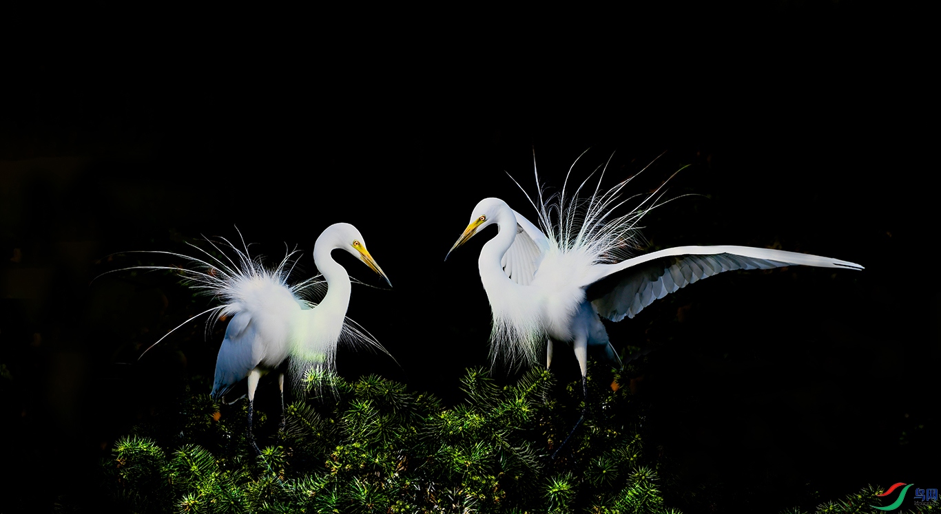 DSC_1909v.jpg