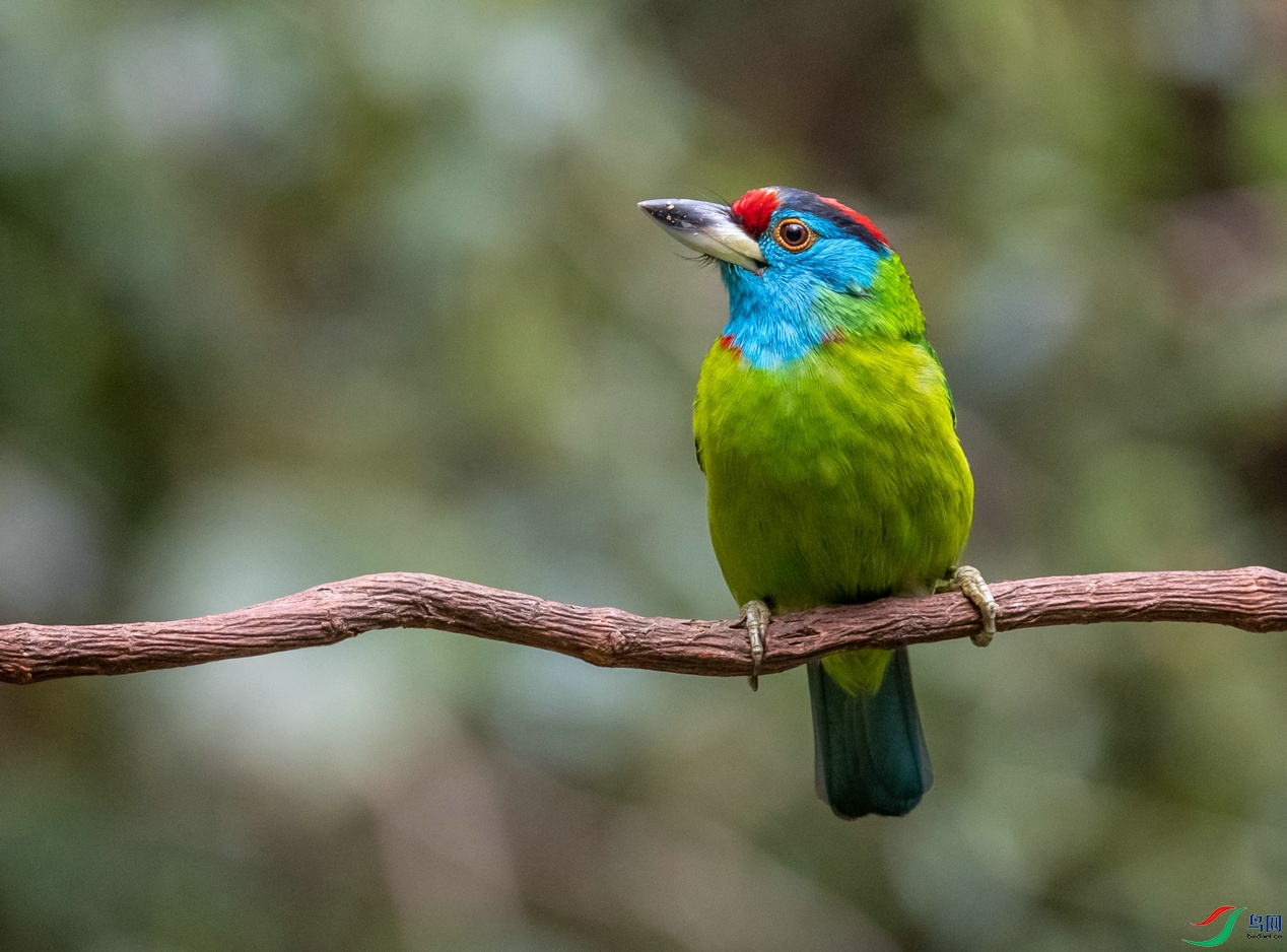 DSC_2569.jpg