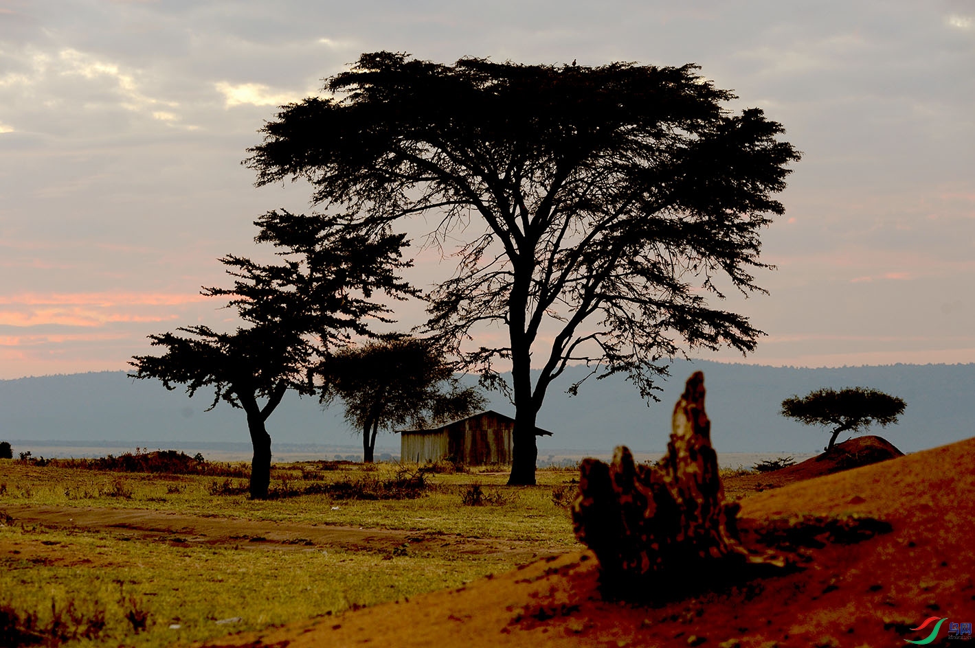 非洲自然风光6