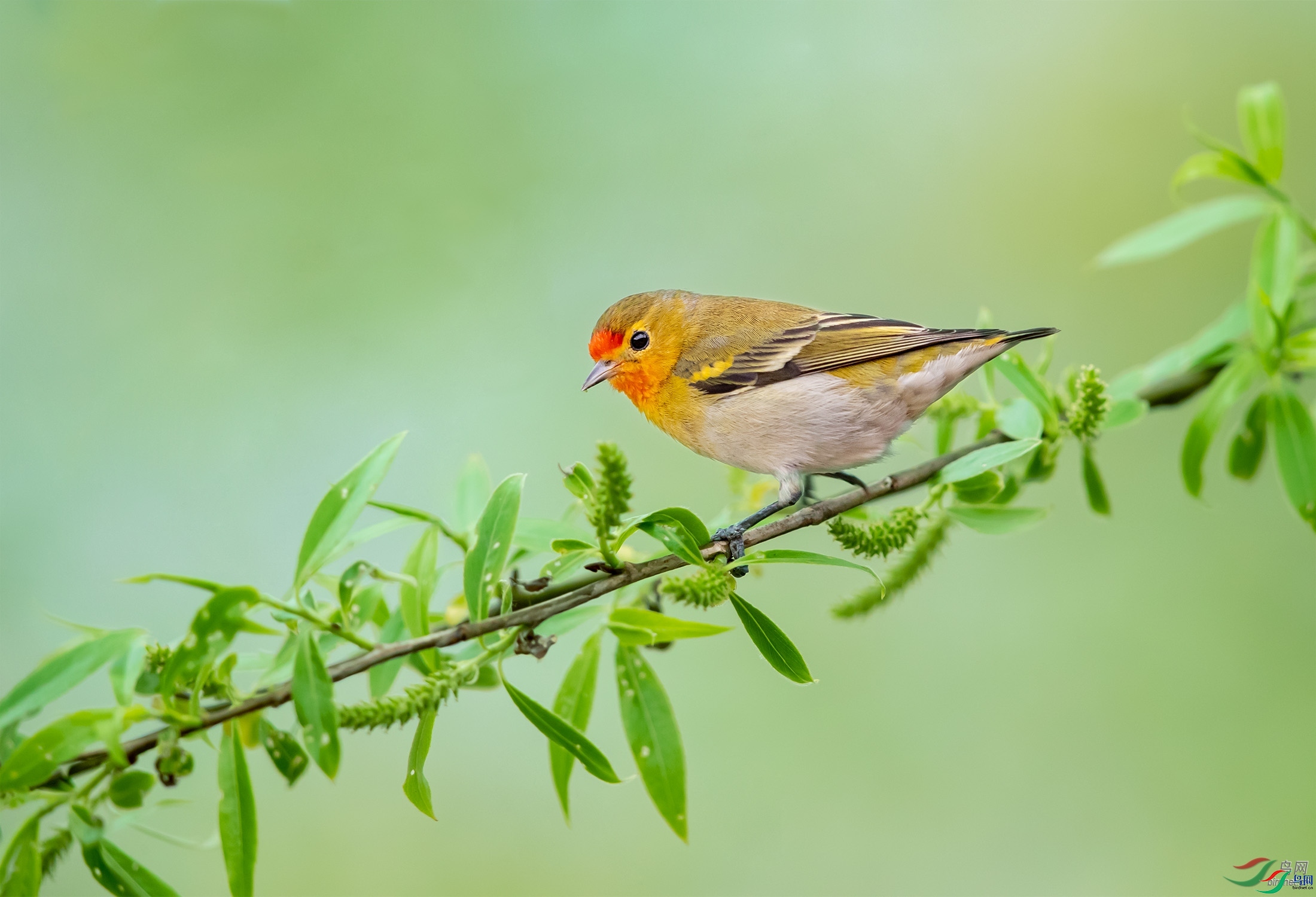 ����  ��ʦ����������ʡ����������.jpg