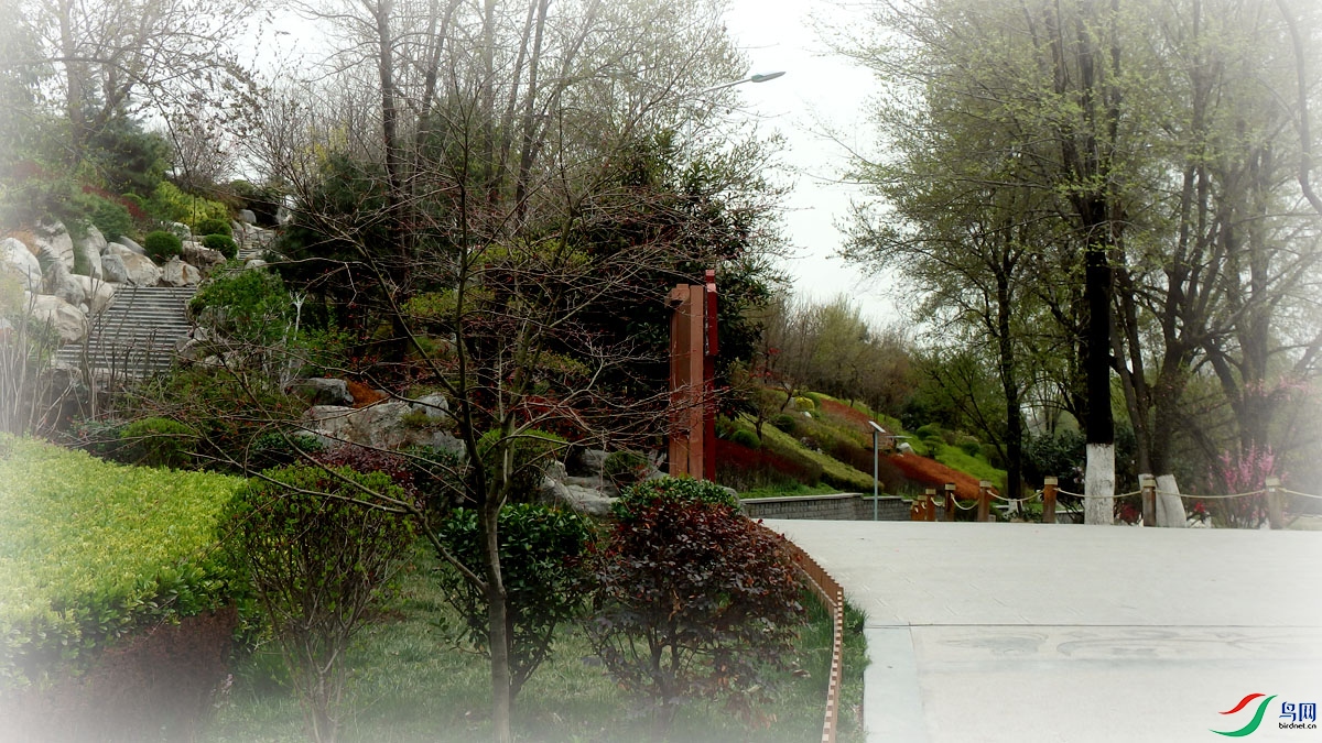 P3200303.jpg