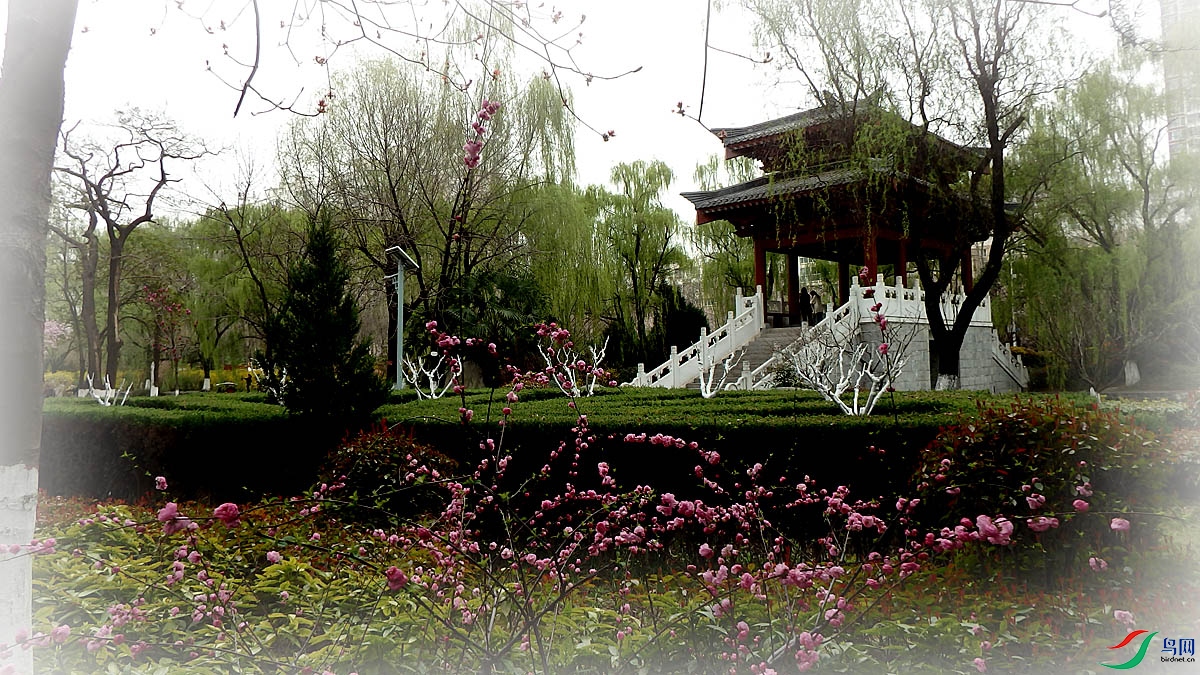 P3200315.jpg