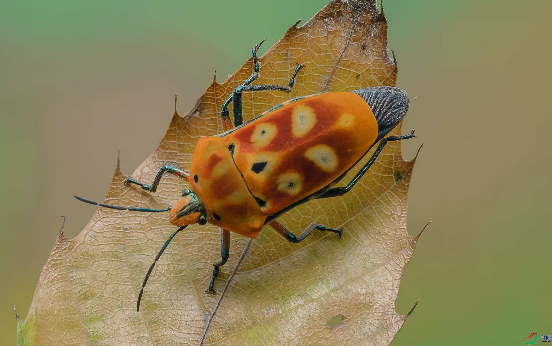 δ����-09436.jpg