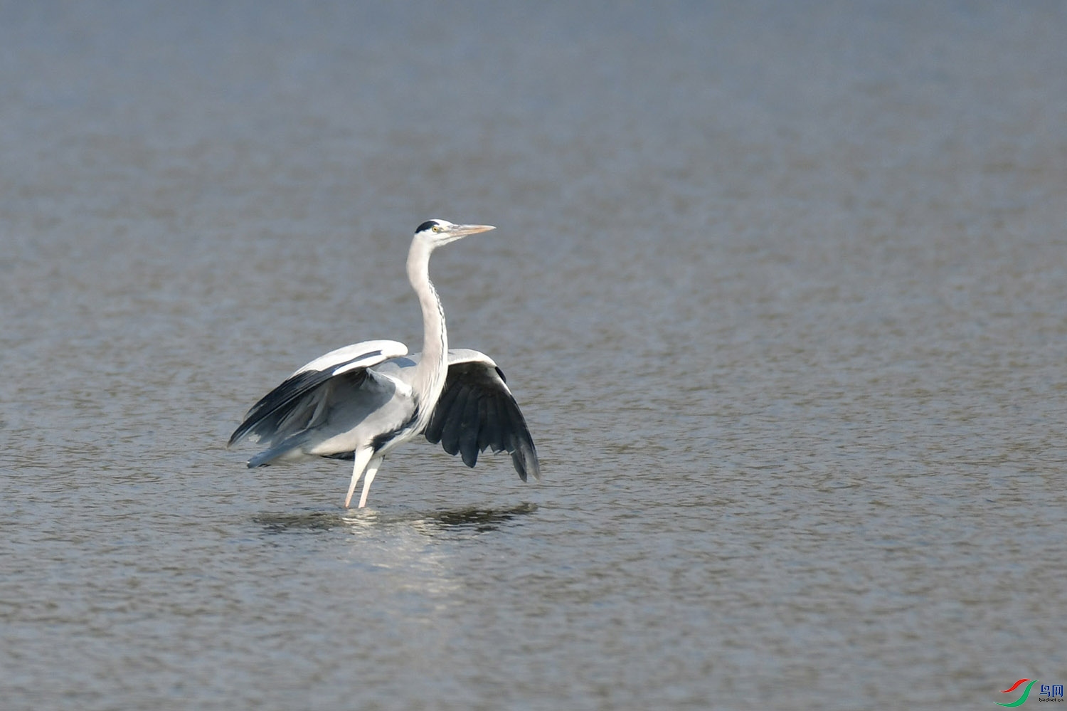 DSC_1647.jpg