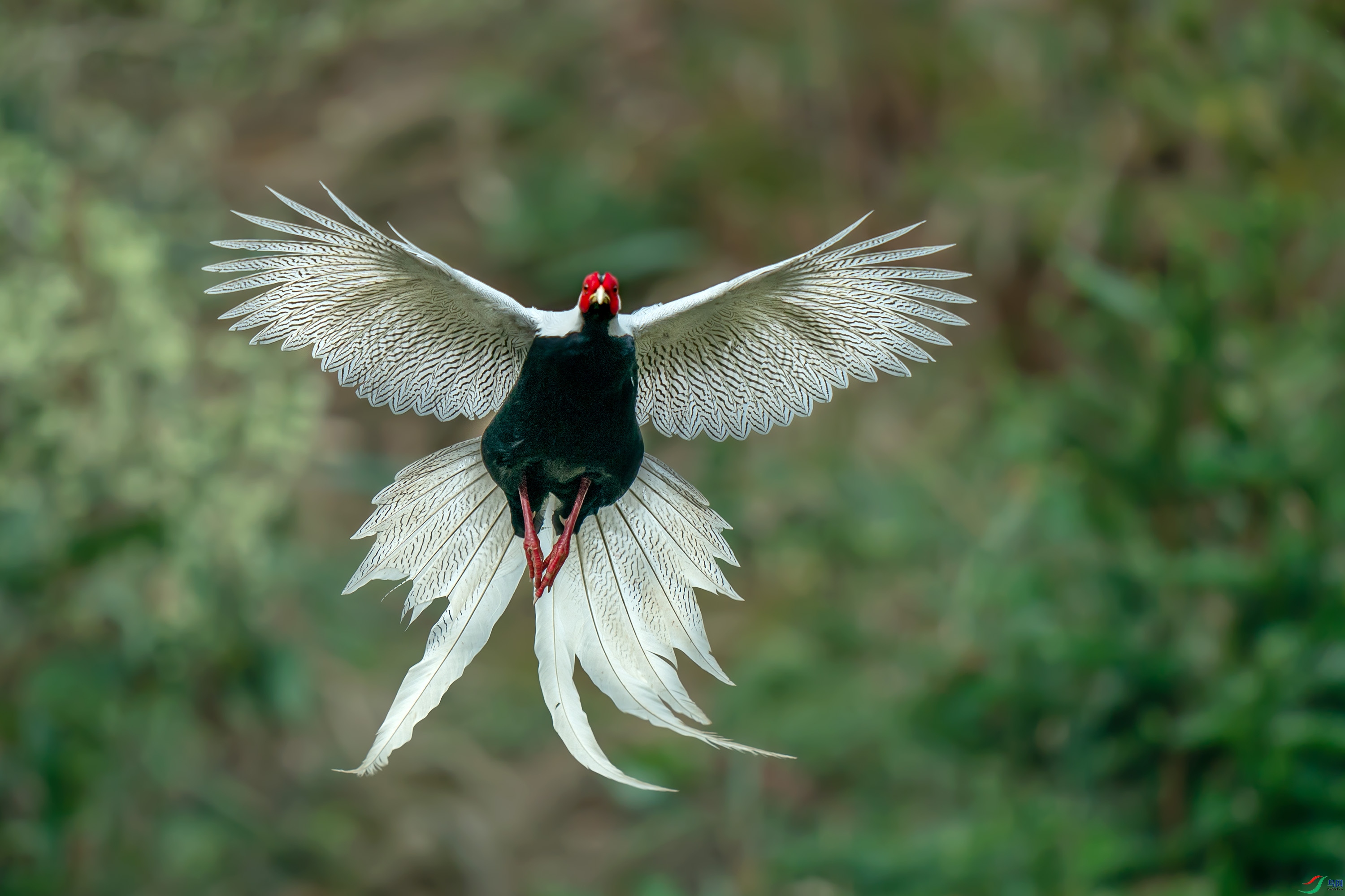 DSC04351-1.jpg