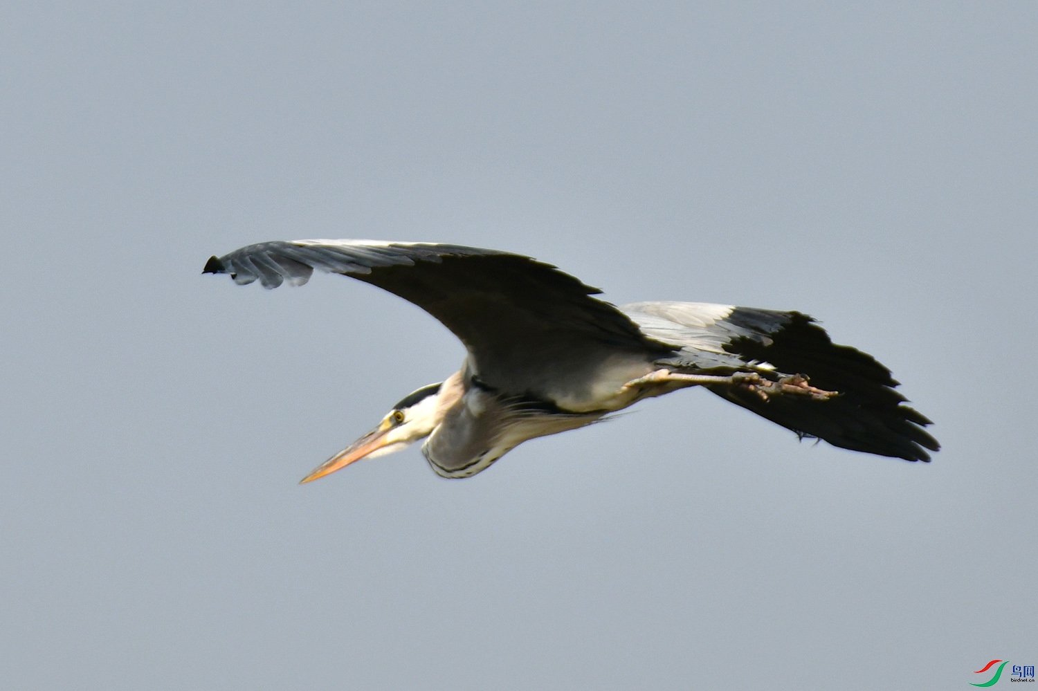 DSC_1850.jpg