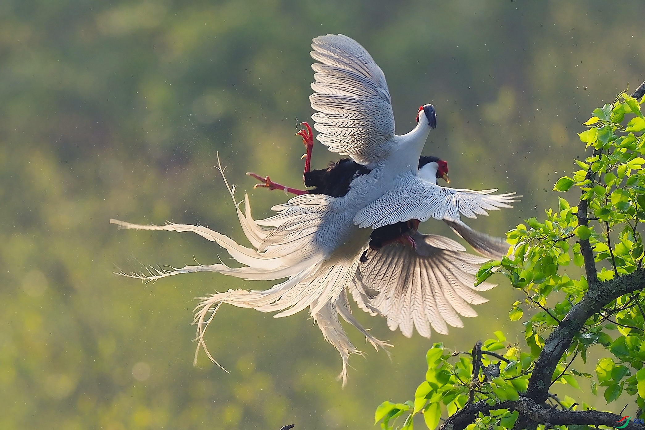 ��۠��ࣨ2��