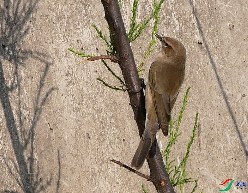 P6280293 - ����.JPG