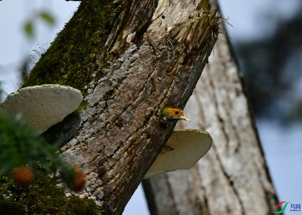 DSC_3110.JPG
