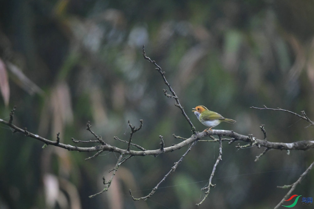 DSC_3150.JPG