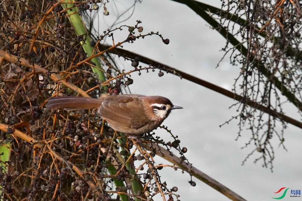 DSC_3129.JPG