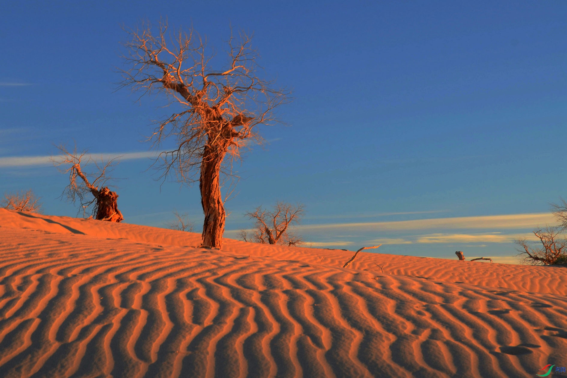 ��Ҵ.��ü{ 568.jpg