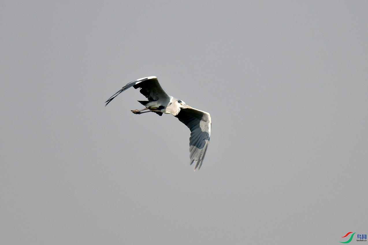 DSC_1616.jpg