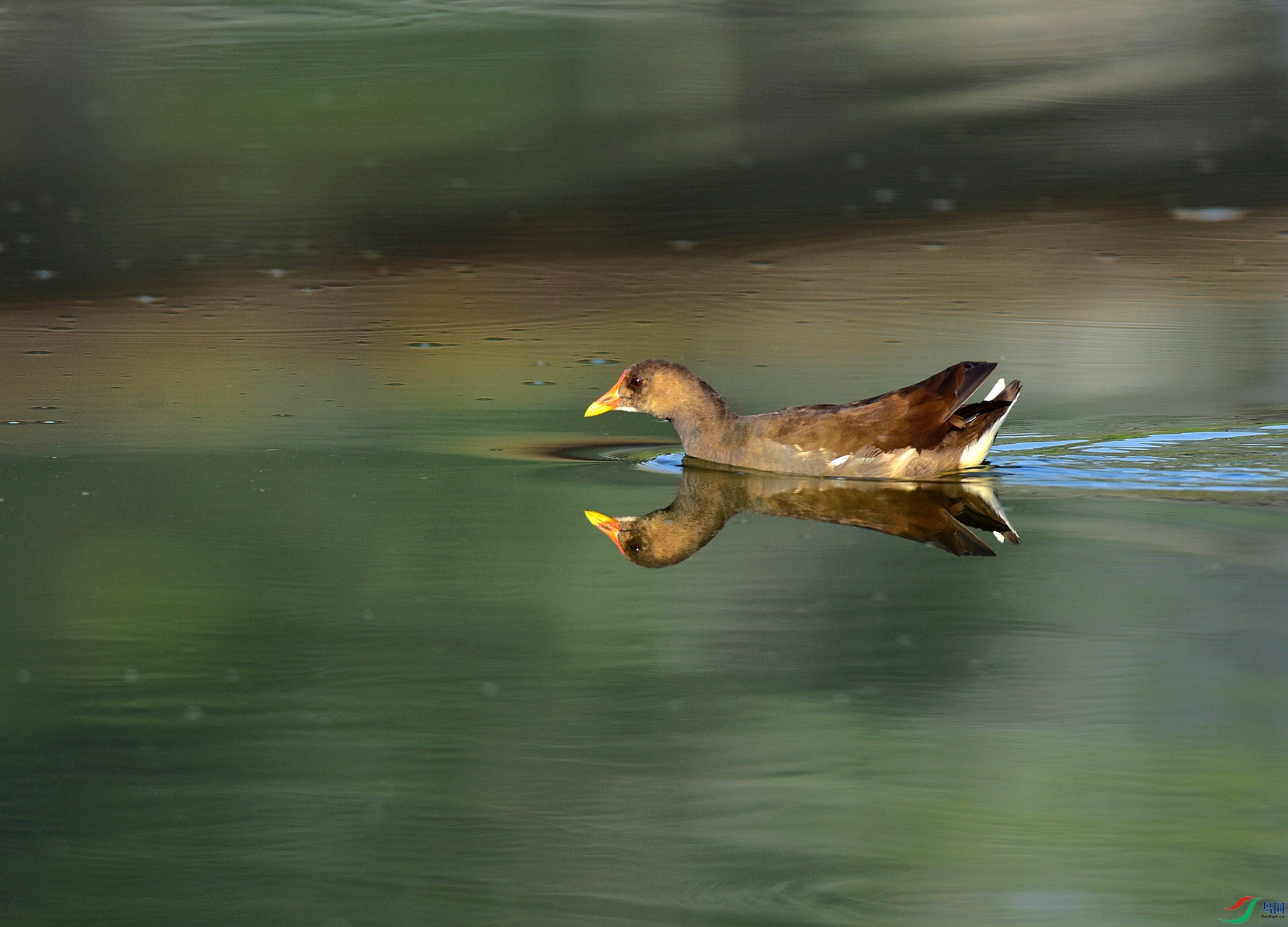 D8I_3081.jpg