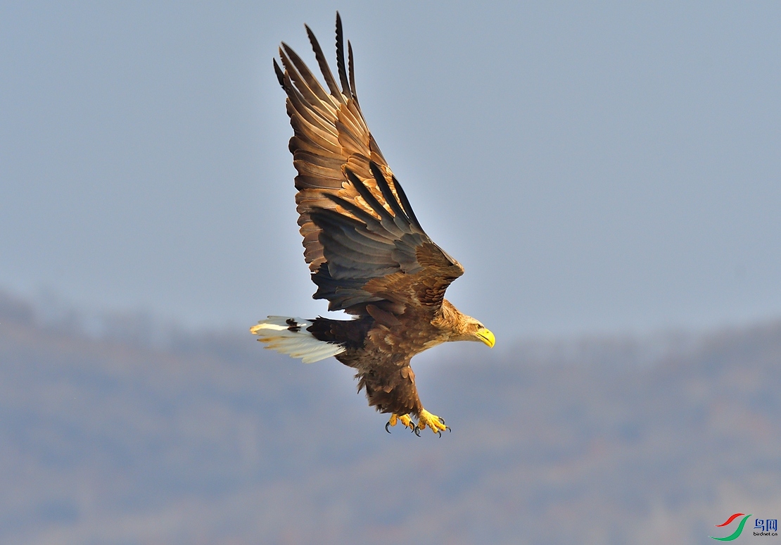 DSC_0256_01.jpg