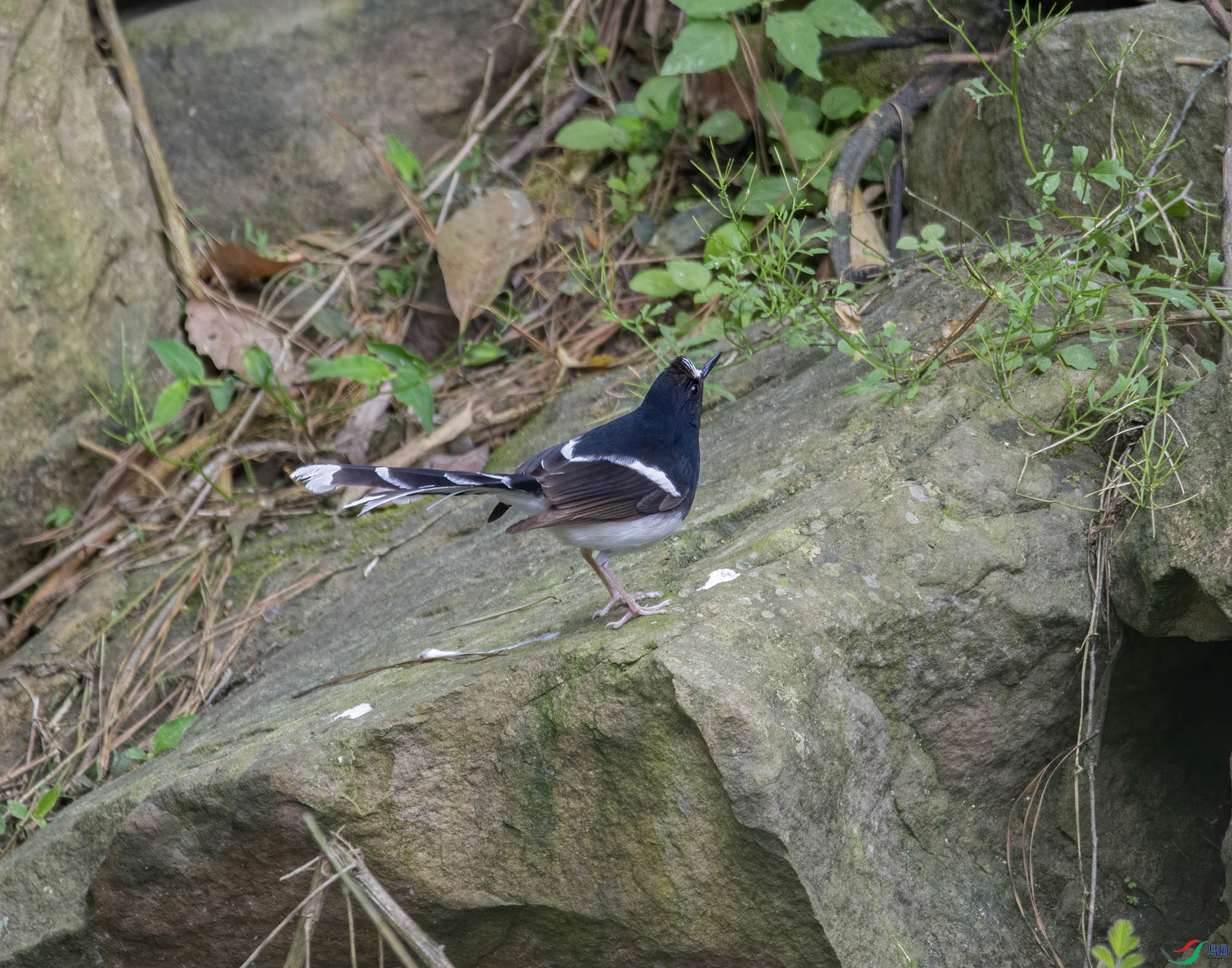 DSC_7185.jpg