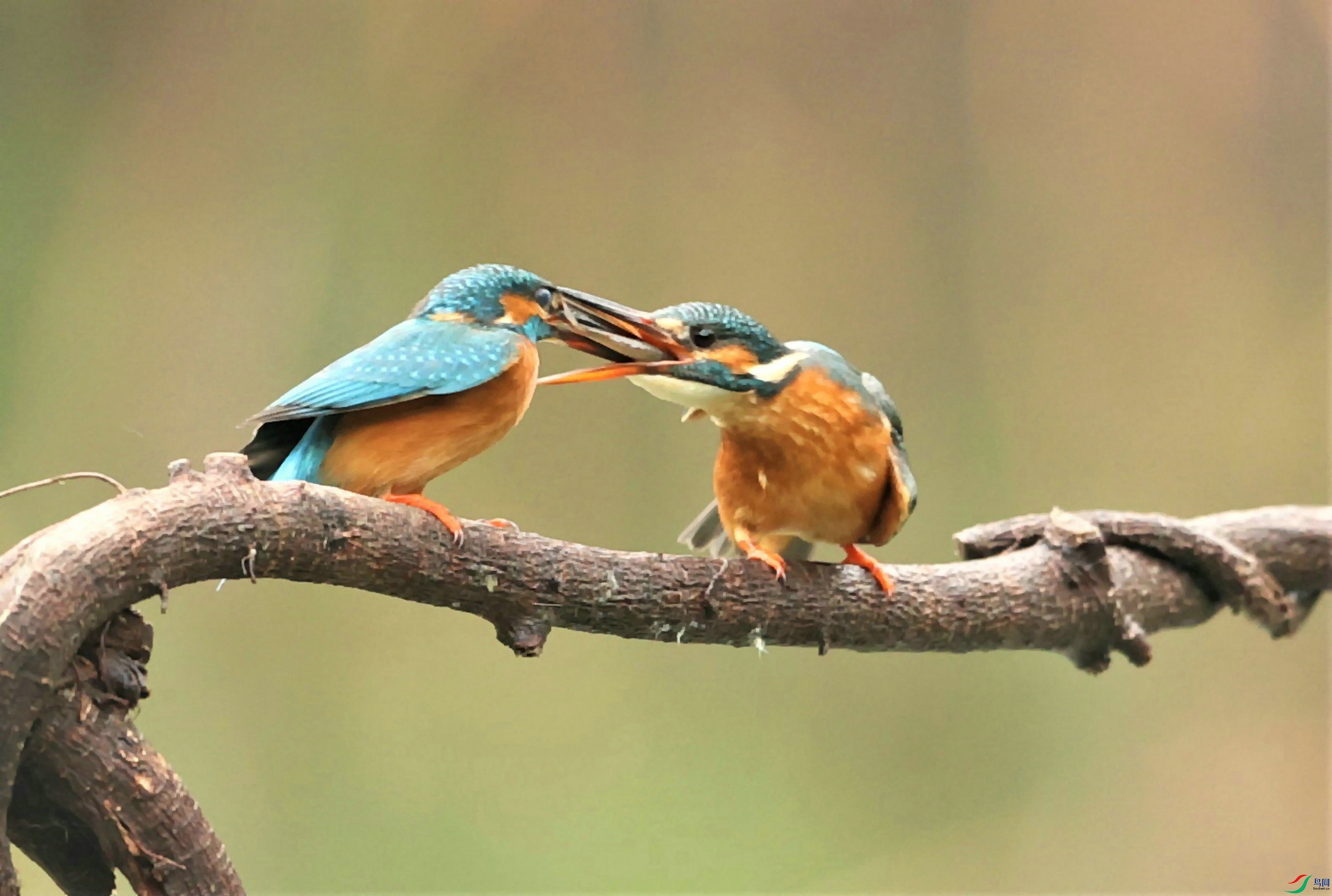 С��ι��-�� 2021-03-06 2I0034.jpg