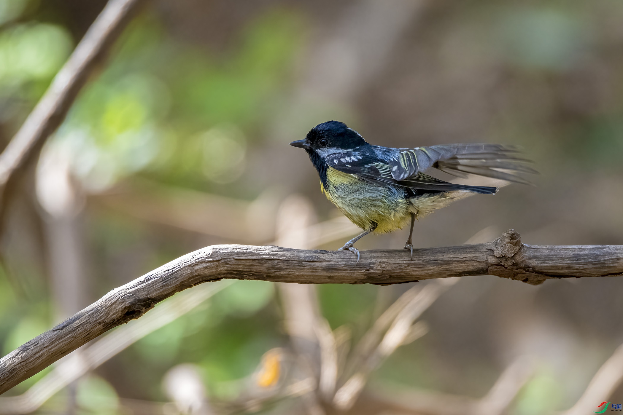 DSC_6745.jpg