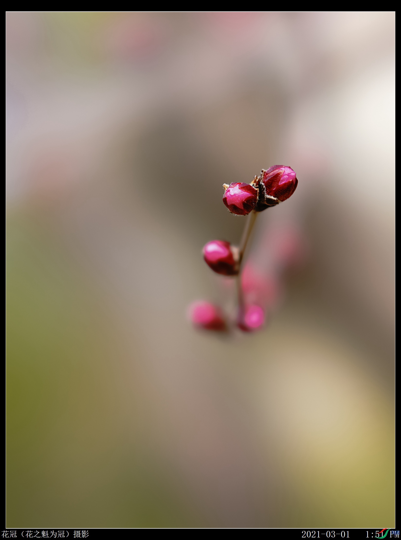 DSC03366B-1_����.jpg