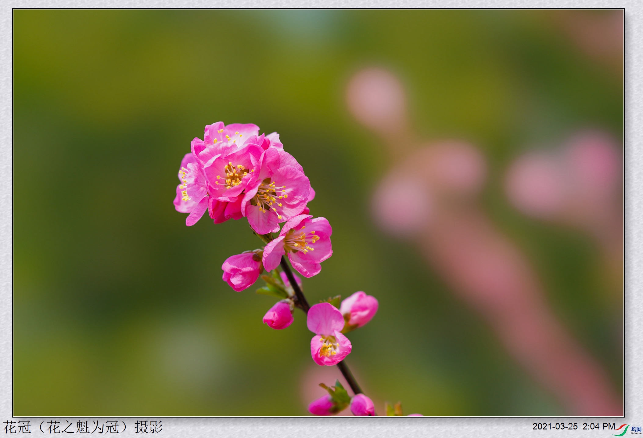 DSC03615B-1_����.jpg