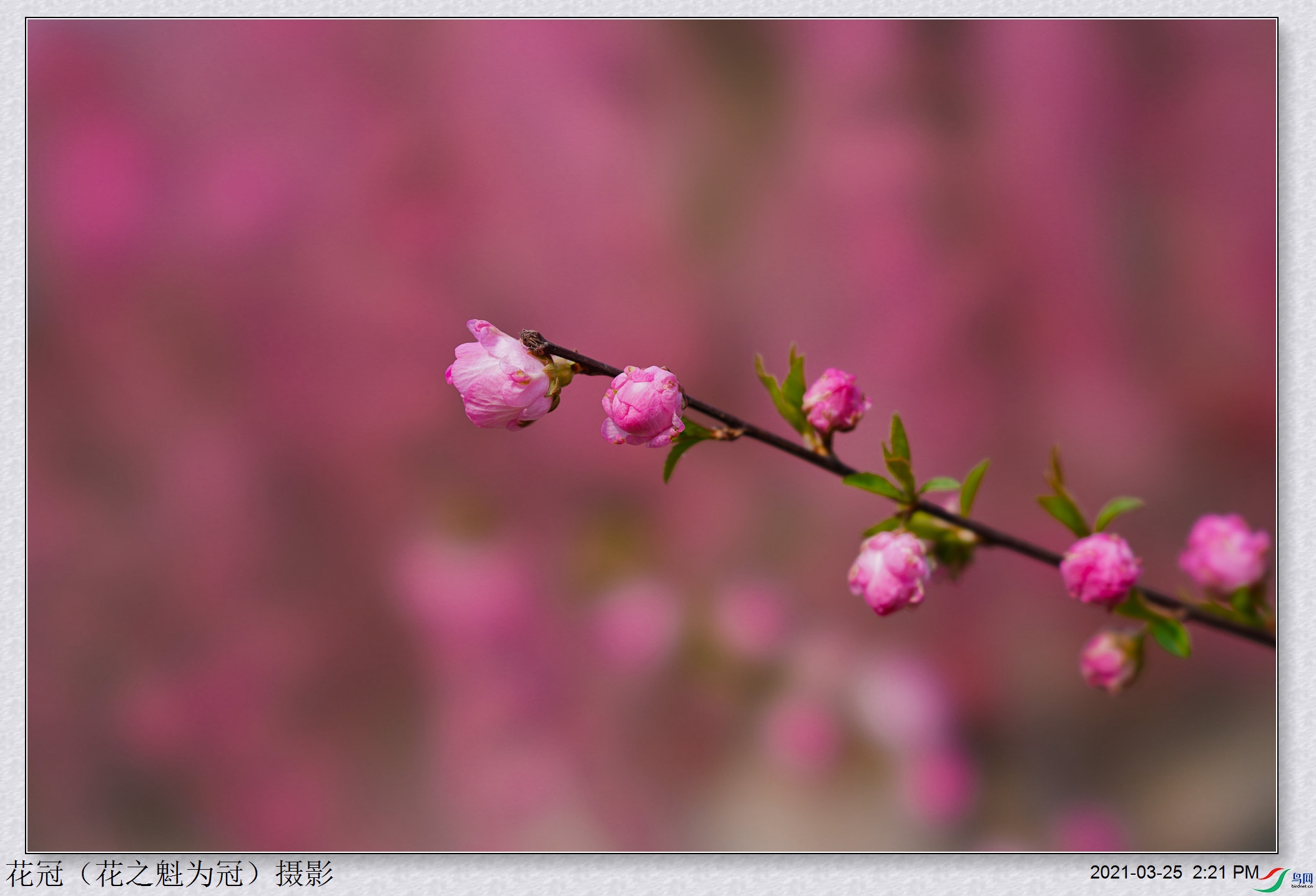 DSC03708B-1_����.jpg