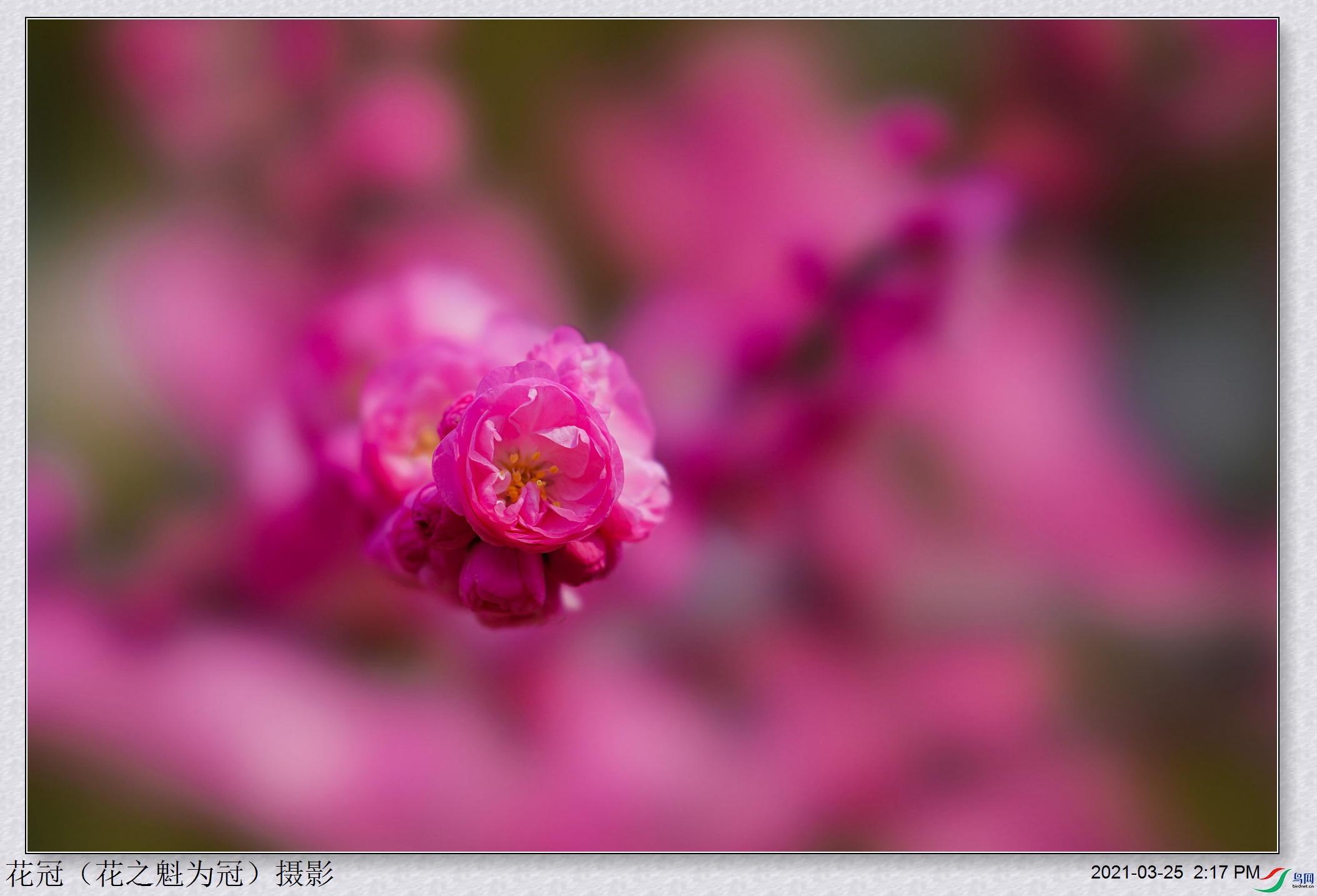 DSC03687B-1_����.jpg