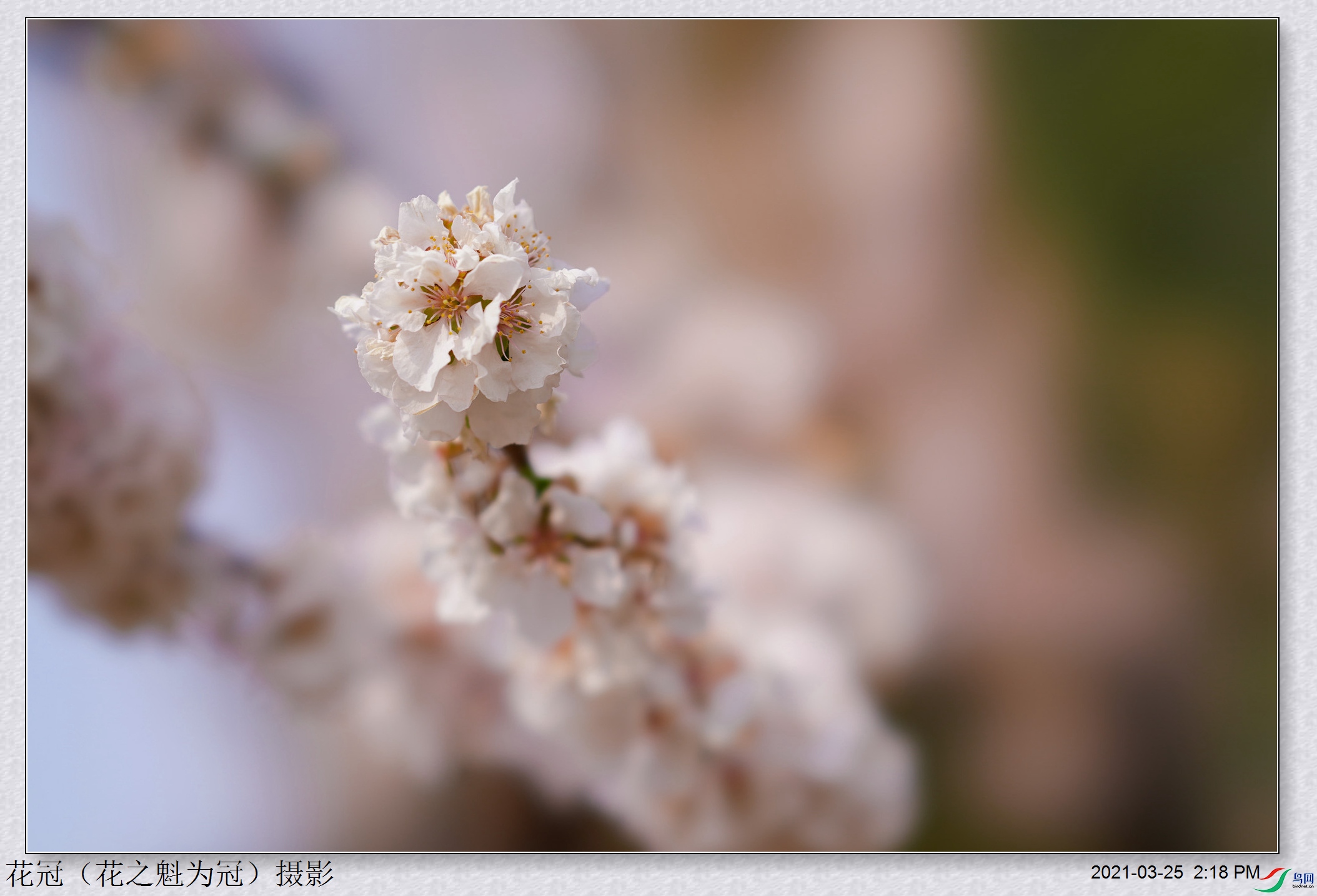 DSC03693B-1_����.jpg
