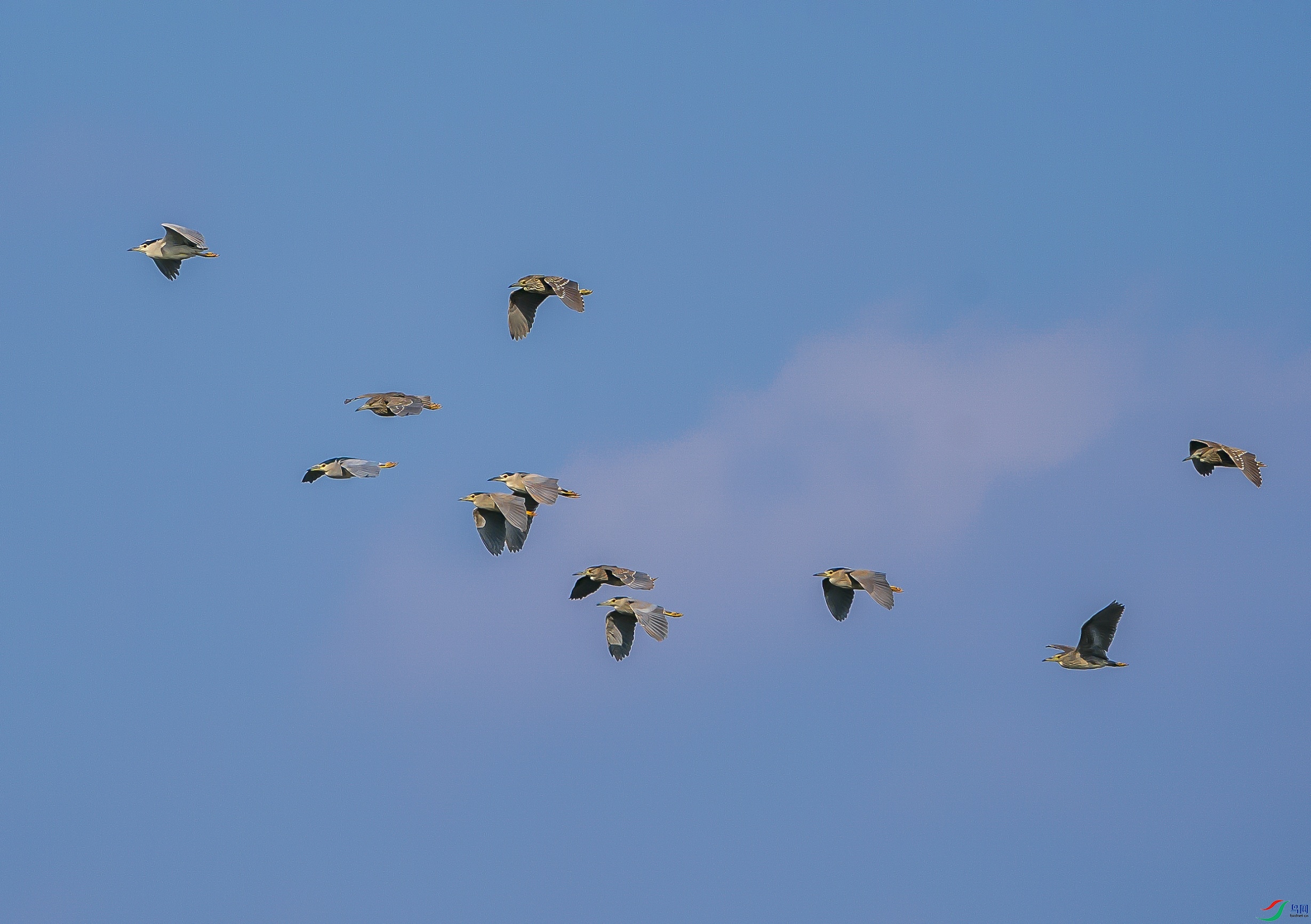 DSC01640111.jpg