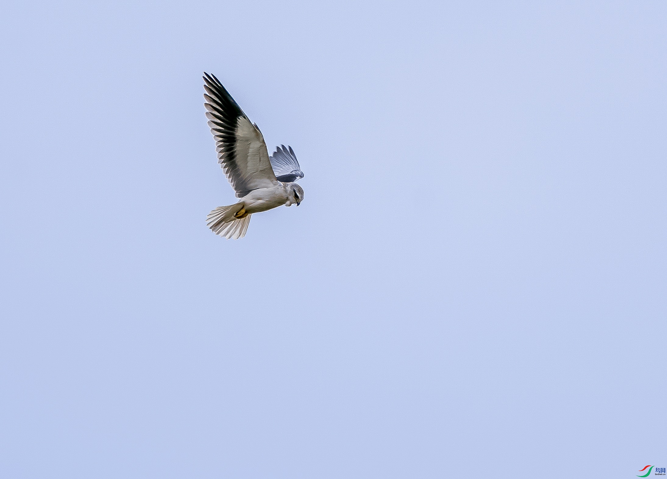 DSC045281111.jpg