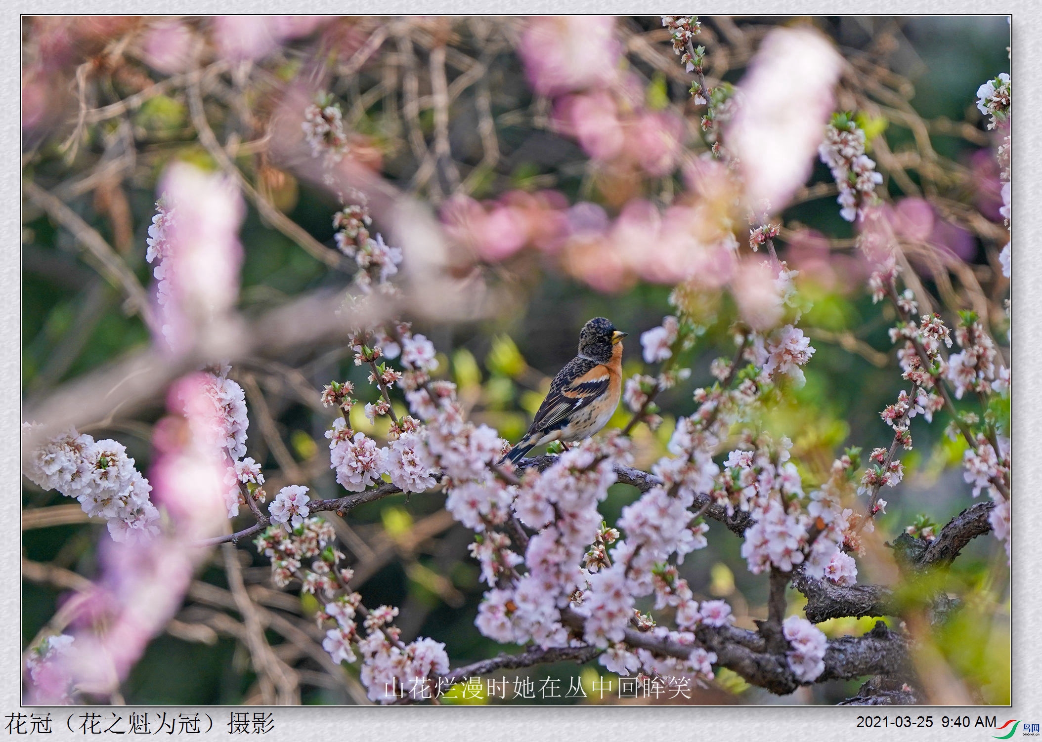 DSC03441B-2_����_��������.jpg