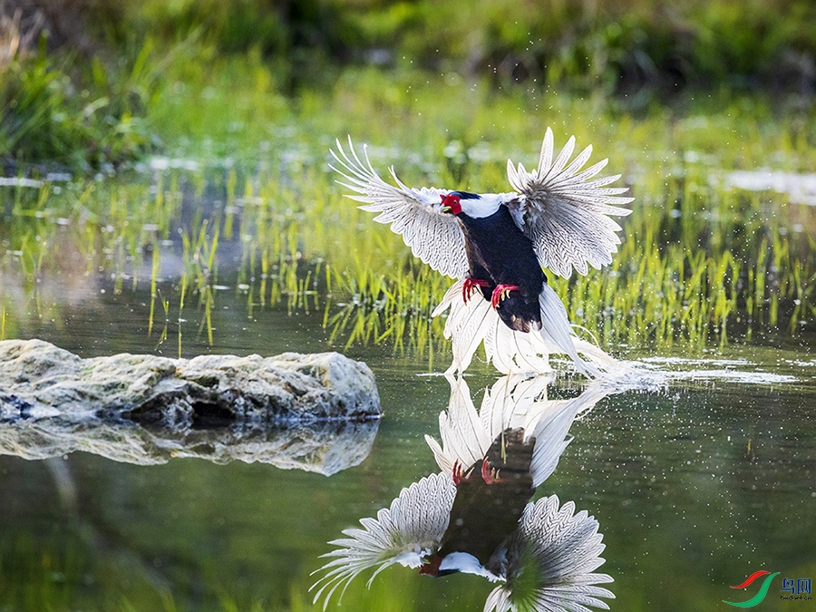 _L4I6803����-�ӹ� - ����.jpg