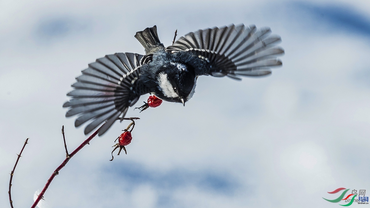 ����  ��ʦ�����ں�����ʡ������.jpg