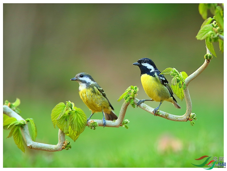 ������   ��ʦ������ɽ��ʡΫ���в�����.jpg