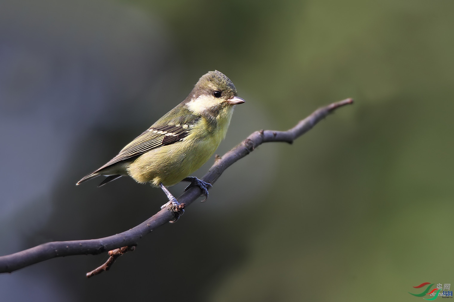 �����ҷ�  ��ʦ�������Ĵ�ʡ������.jpg